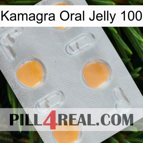 Kamagra Oral Jelly 100 24.jpg